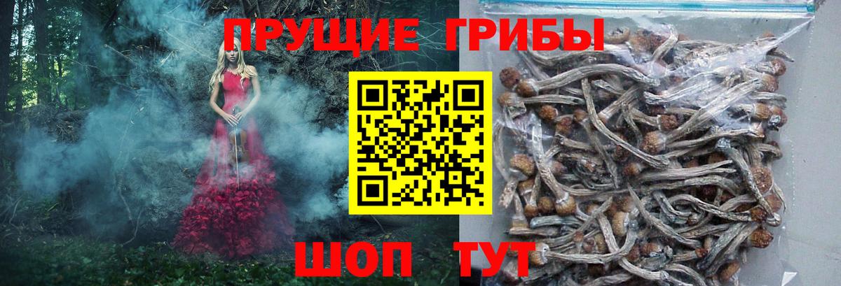 Галлюциногенные грибы Psilocybe  Псилоцибиновые грибы мицелий  Октябрьский  Вход с VPN 